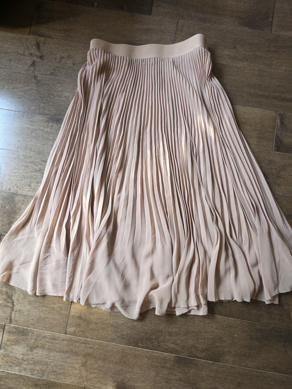 Aritzia Twirl Pleated Skirt